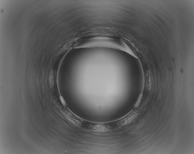 X0000082950562200702011245