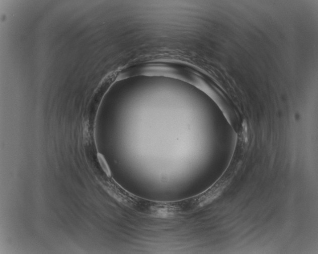 X0000082950564200702011245