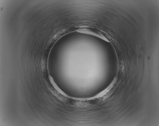 X0000082950568200702011245