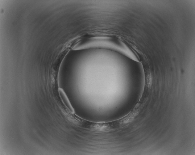 X0000082950570200702011245