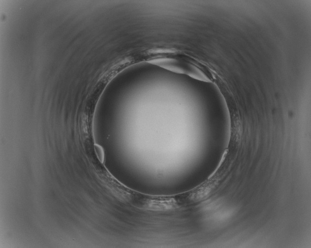 X0000082950571200702011245