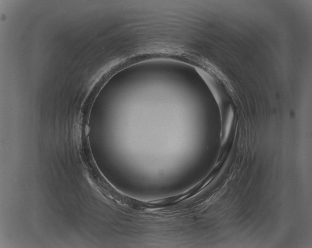 X0000082950580200702011244