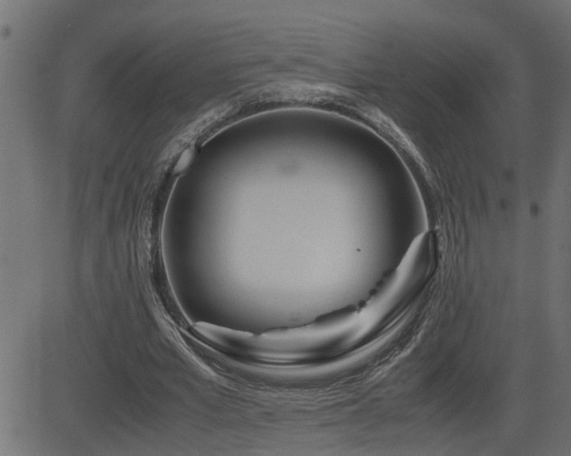 X0000082950581200702011244