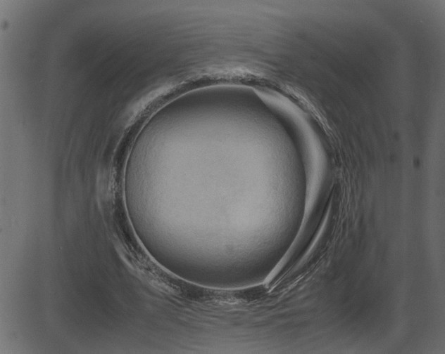 X0000082950583200702011244