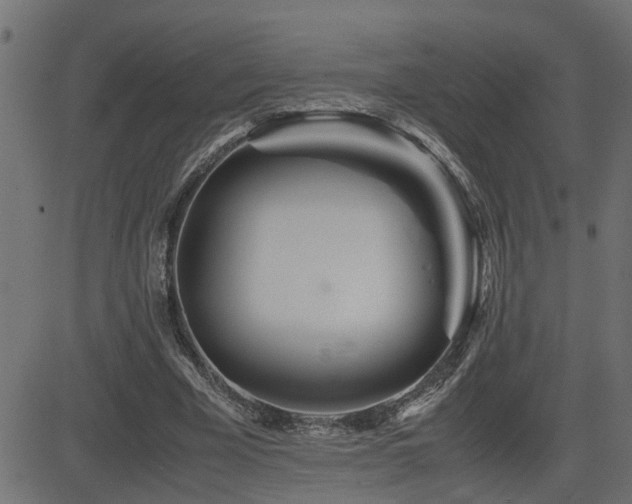 X0000082950585200702011244