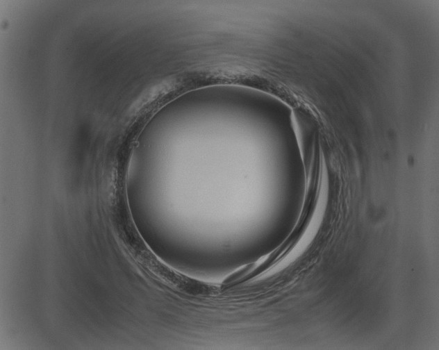 X0000082950591200702011244