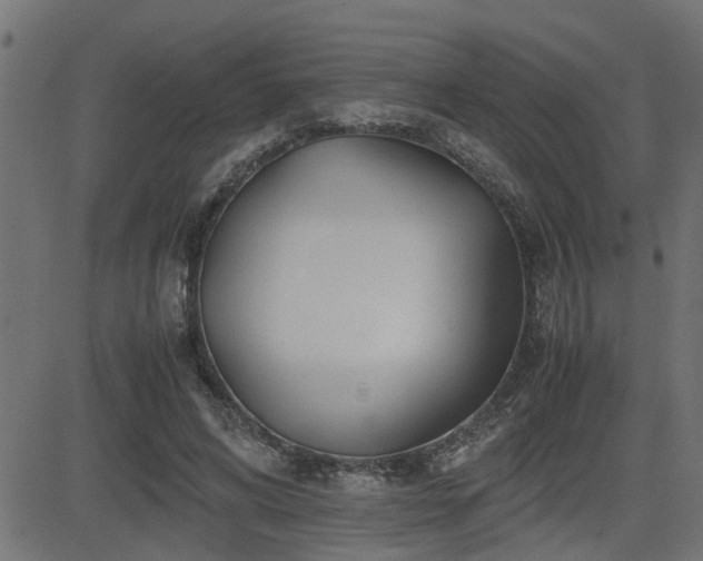 X0000082950592200702011244