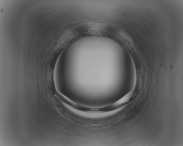 X0000082950603200702011244