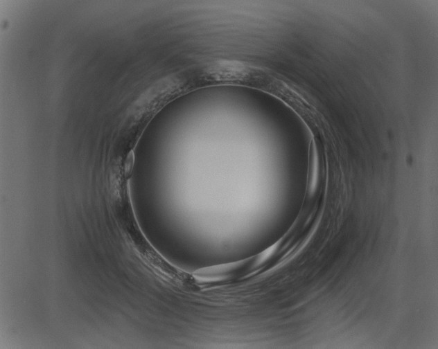 X0000082950604200702011244