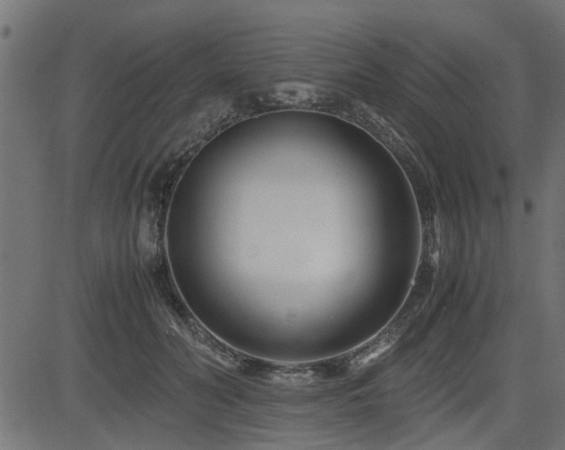 X0000082950606200702011244
