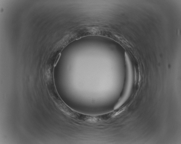 X0000082950611200702011244