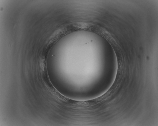 X0000082950612200702011244