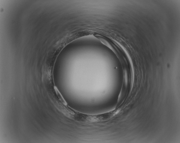 X0000082950613200702011244