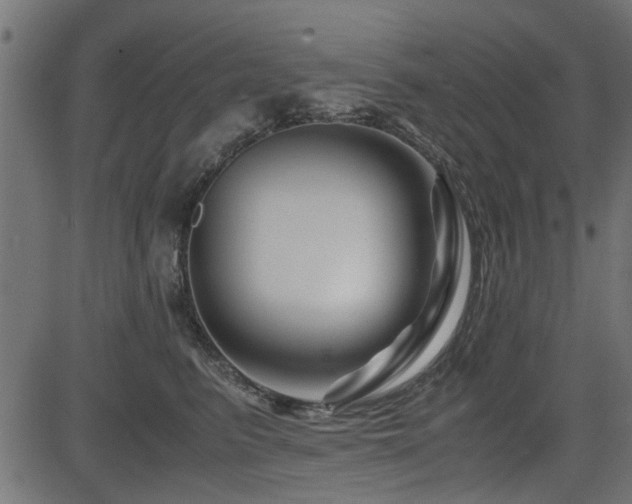 X0000082950615200702011244