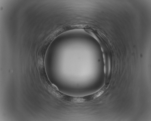 X0000082950617200702011244