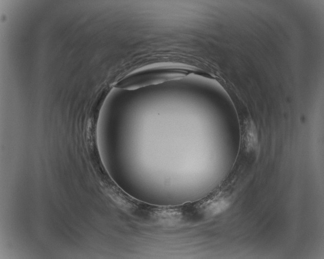 X0000082950619200702011244