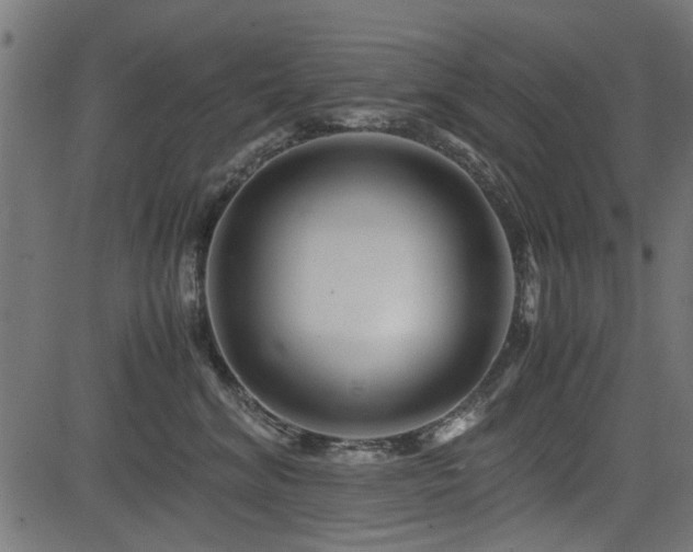 X0000082950620200702011244