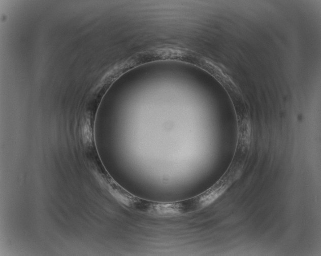 X0000082950622200702011244