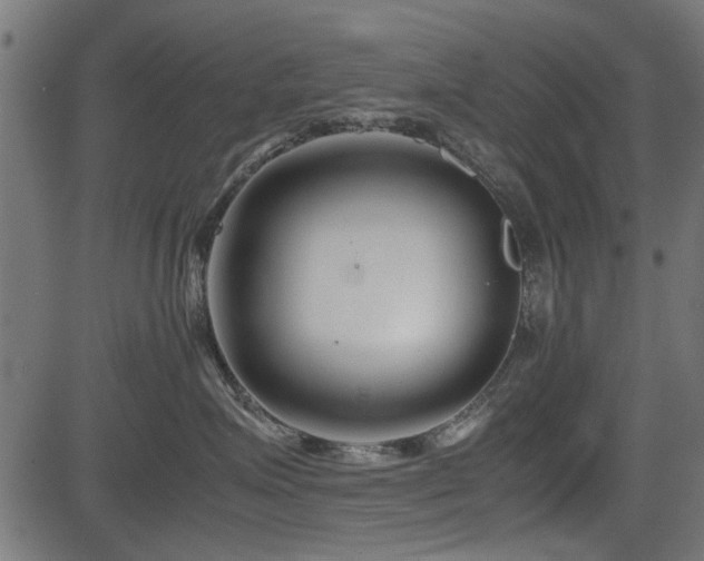 X0000082950623200702011244