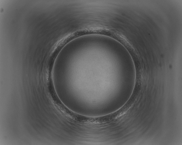 X0000082950640200702011243