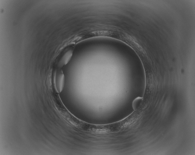 X0000082950645200702011243