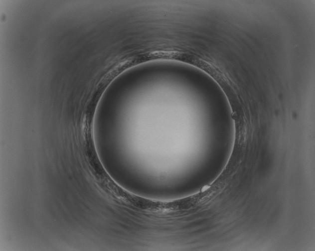 X0000082950647200702011243