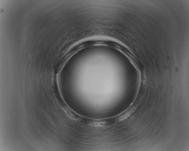 X0000082950664200702011244