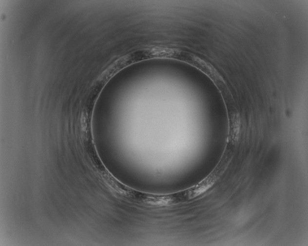 X0000082950667200702011244