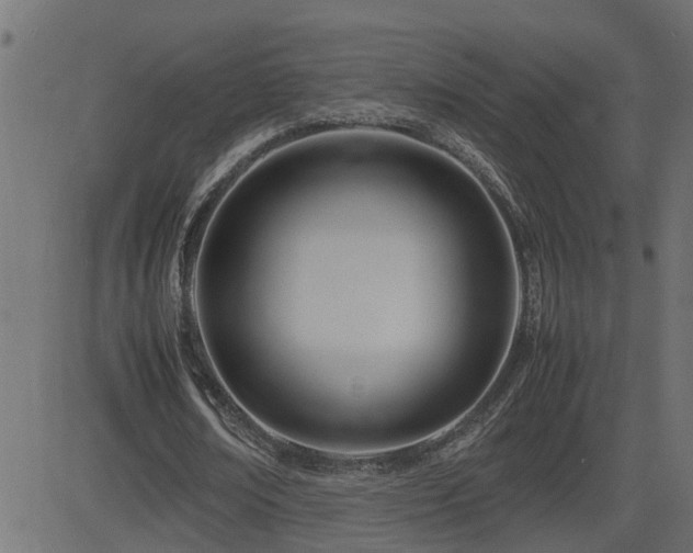 X0000082950674200702011243