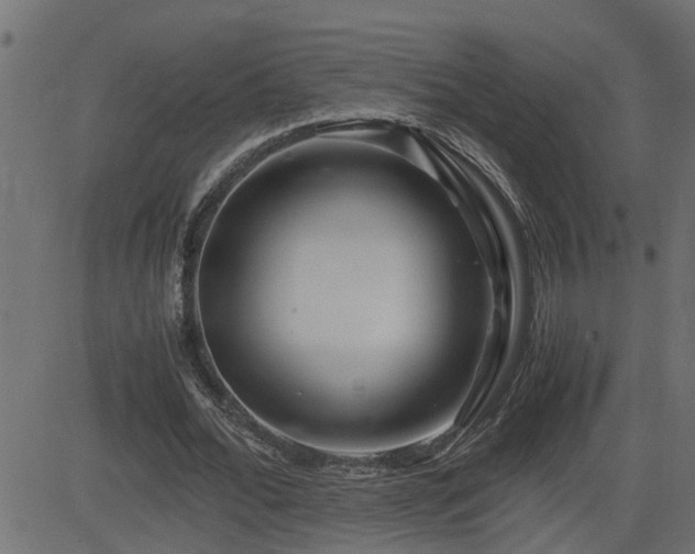 X0000082950676200702011243