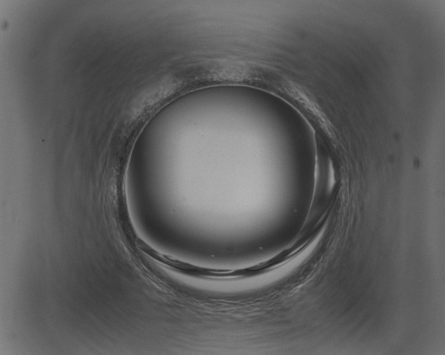X0000082950681200702011243