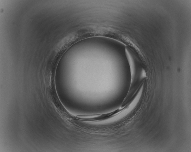 X0000082950685200702011243