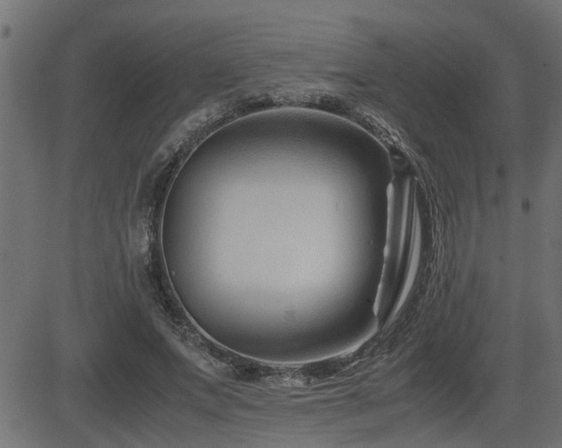 X0000082950687200702011243