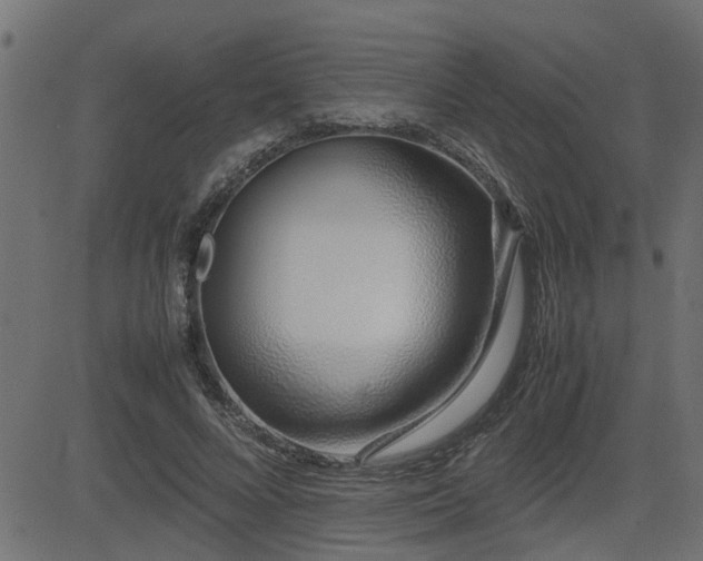 X0000082950688200702011243