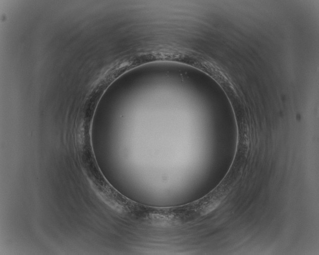 X0000082950690200702011243