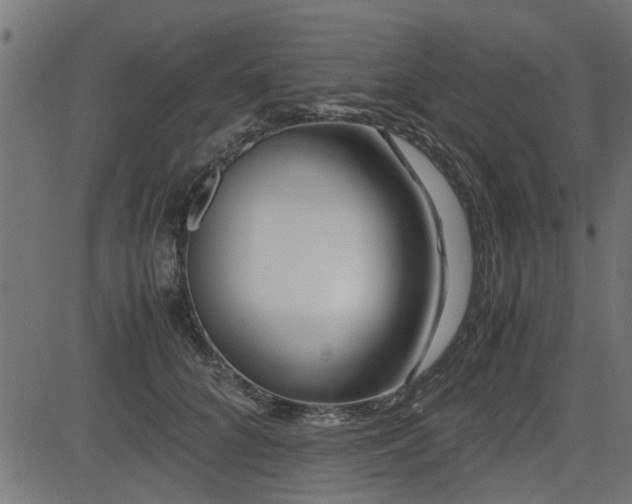 X0000082950704200702011242