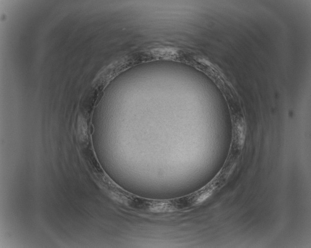 X0000082950705200702011242