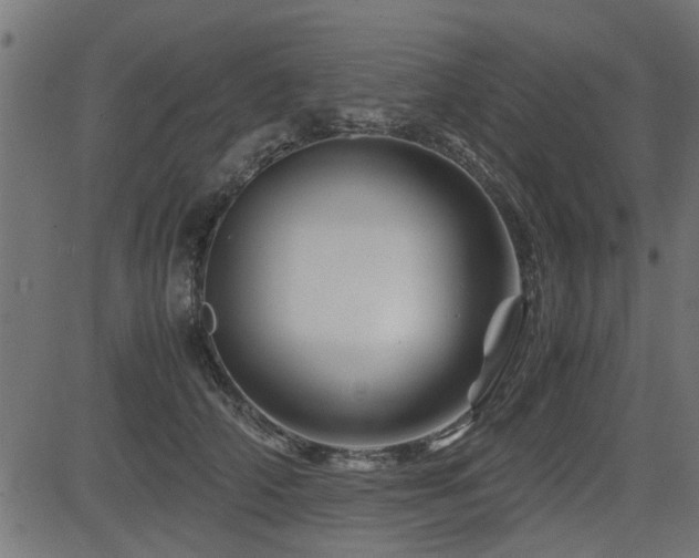 X0000082950706200702011242