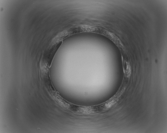 X0000082950713200702011242