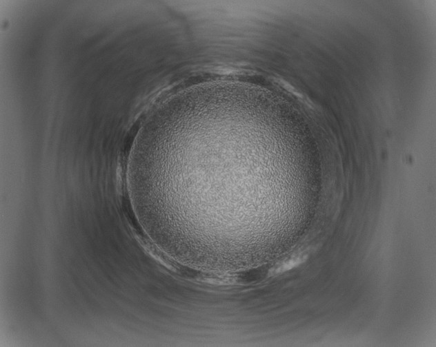 X0000082950720200702011242