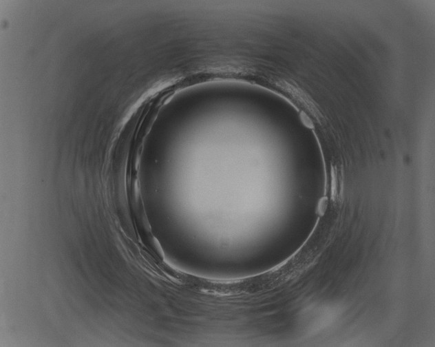 X0000082950723200702011241