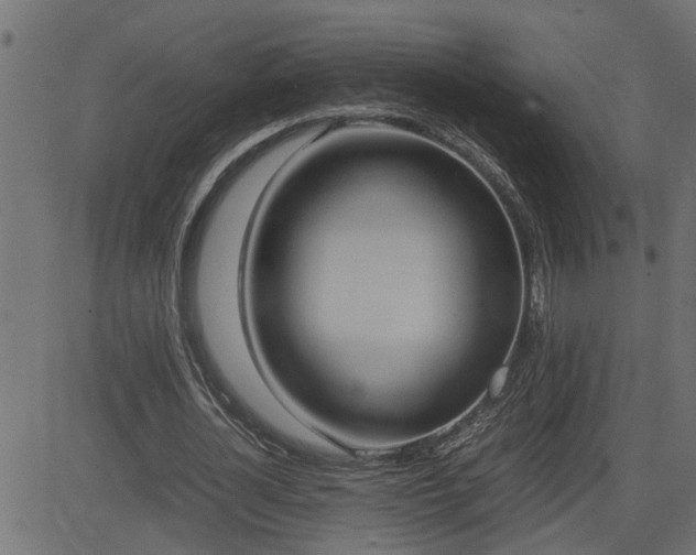 X0000082950724200702011241