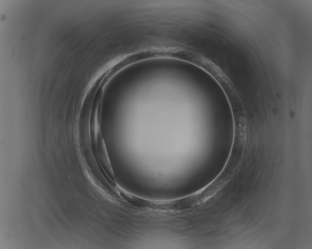 X0000082950726200702011241