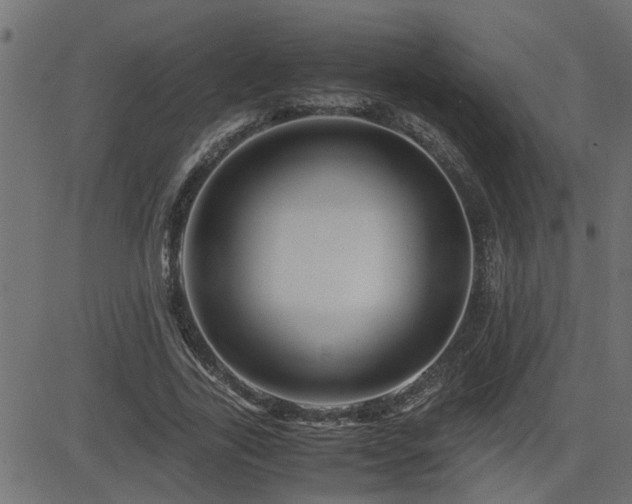 X0000082950731200702011241