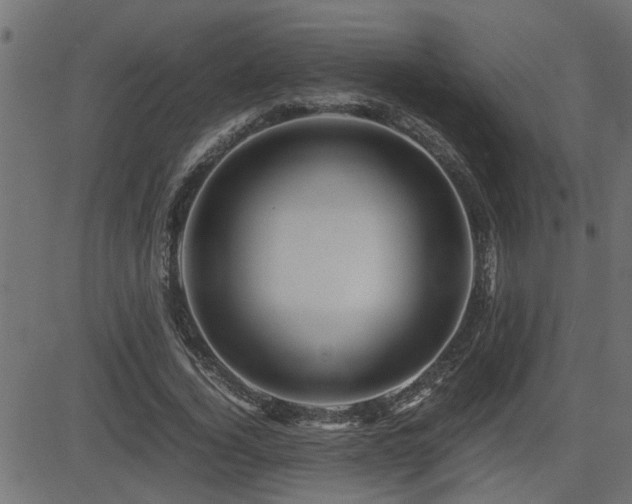 X0000082950732200702011241