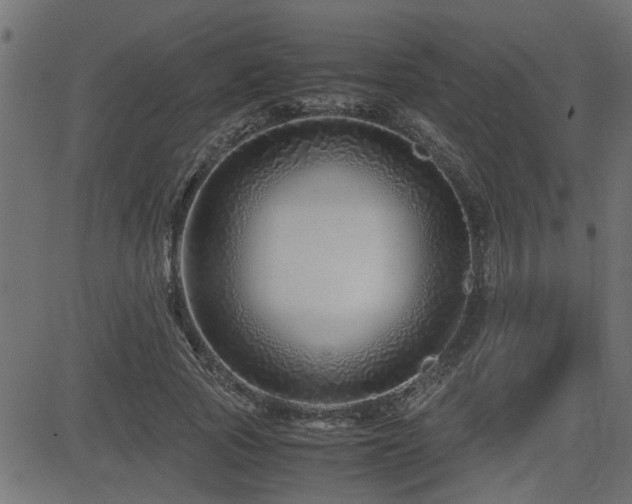 X0000082950737200702011242