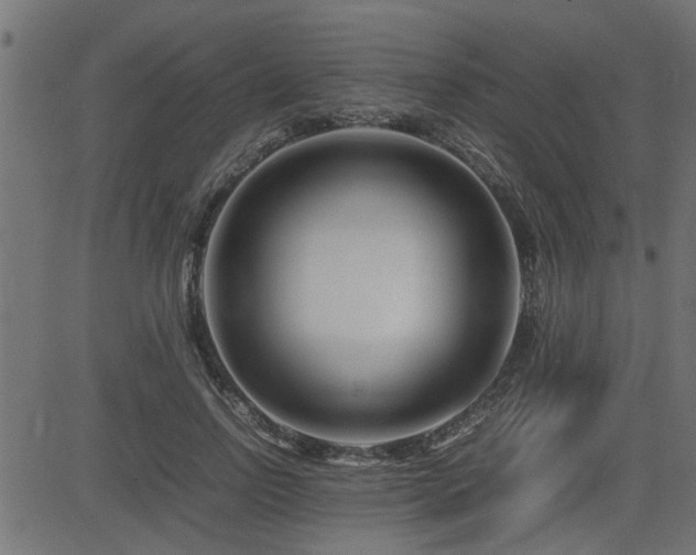 X0000082950742200702011242