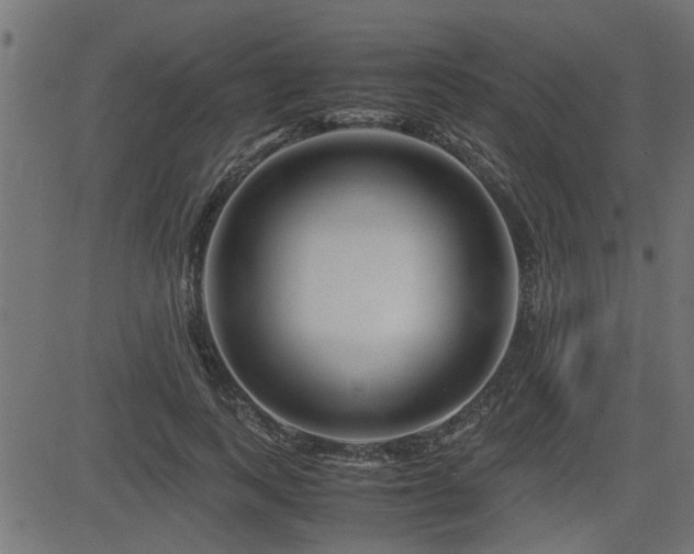 X0000082950743200702011242