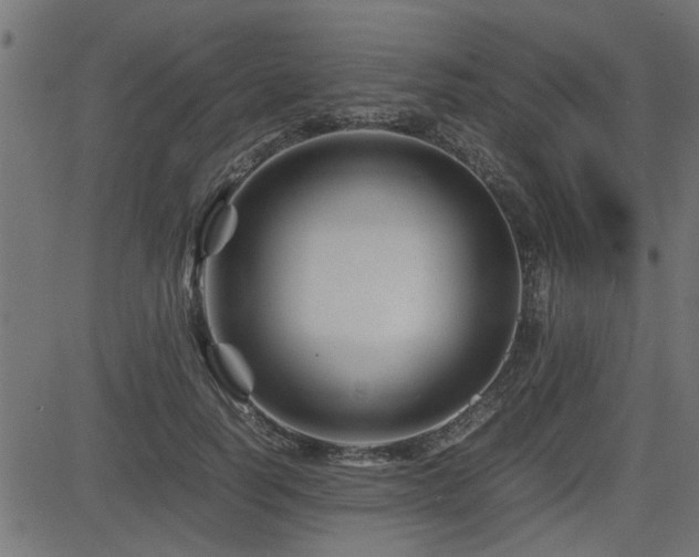 X0000082950746200702011242