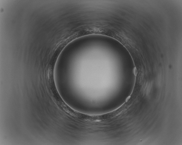 X0000082950747200702011242